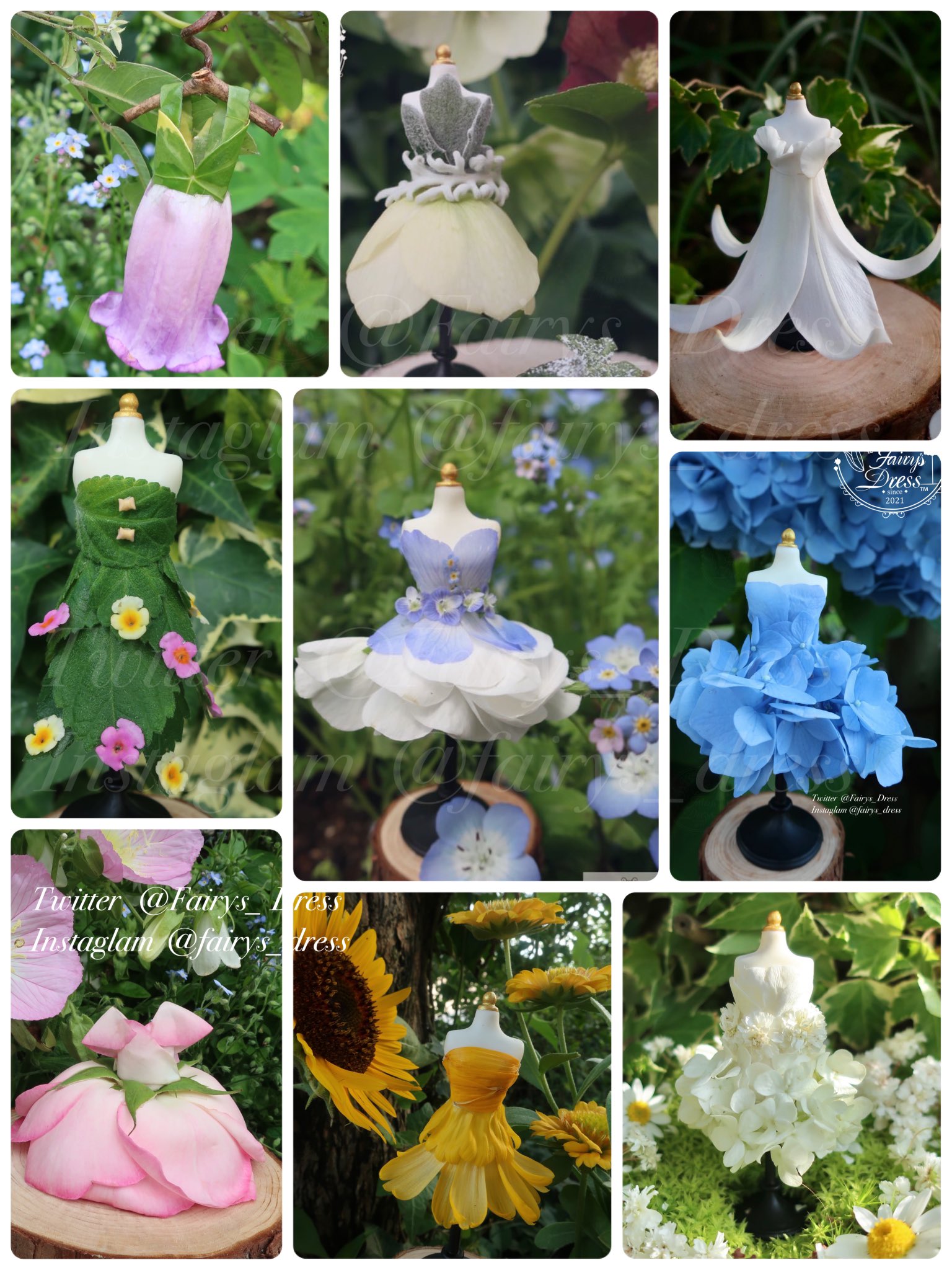 Highlights by Fairy's Dress (@Fairys_Dress) / X