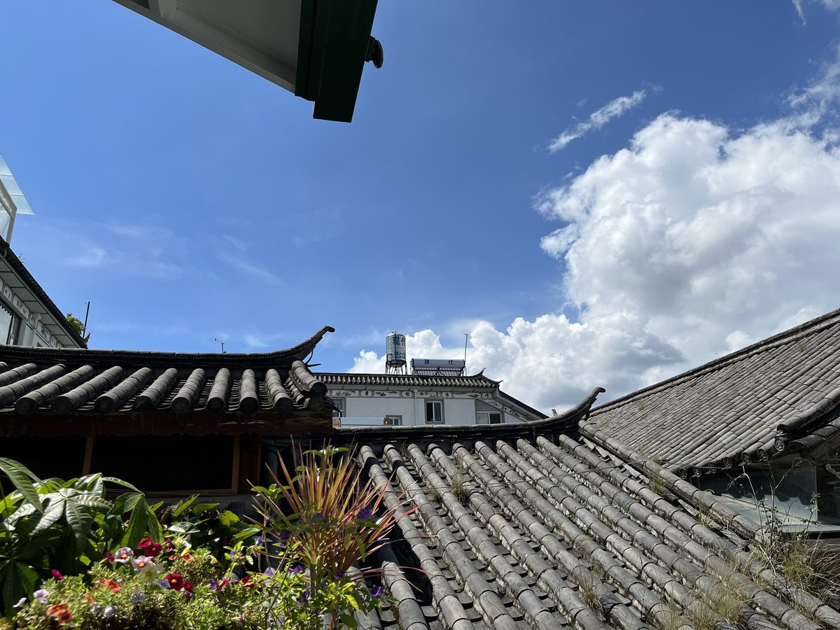 0xNought's tweet photo. 今天友人推荐了一个宝藏之地——欢雀
超级喜欢这个地方,还遇到了瓦猫之夏的朋友MXX。聊了很多,主题包括但不限于瓦猫之夏的可持续、Reporter DAO、社区、Nomadverse...
#iweb3 #Nomadverse #Dalifornia #Dalifood #今日午餐 https://t.co/C7lV2HxPDC