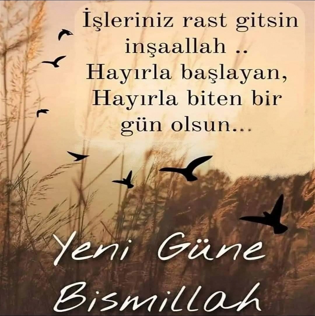 MustafaCego2's tweet image. 