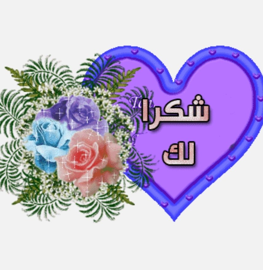 همس القوافي tweet media