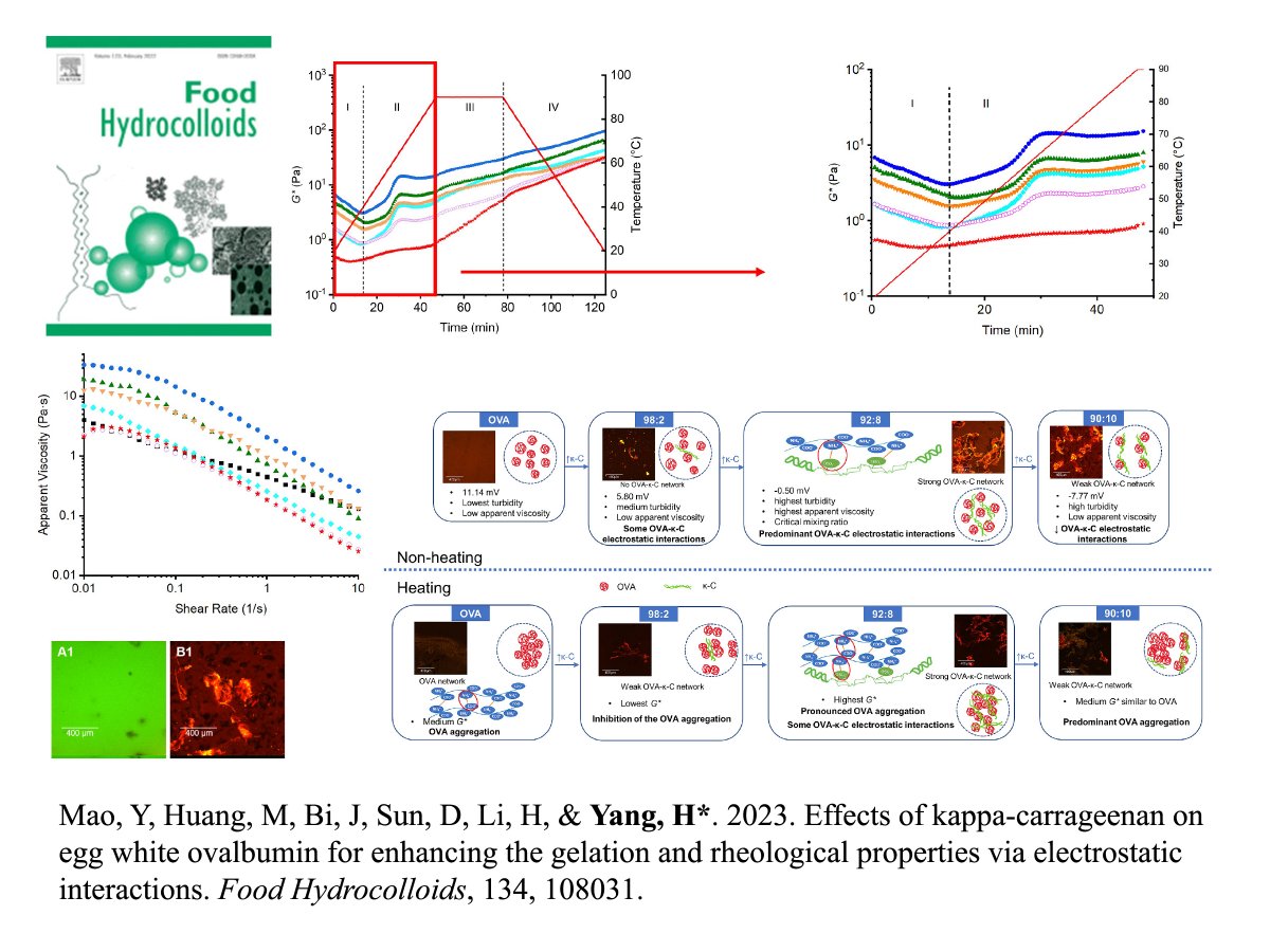 HongshunYang's tweet photo. Mao, Y, Huang, M, Bi, J, Sun, D, Li, H, &amp; Yang, H. 2023. Effects of kappa-carrageenan on egg white ovalbumin for enhancing the gelation and rheological properties via electrostatic interactions. Food Hydrocolloids, 134, 108031.
https://t.co/P7XTs4iQDG https://t.co/qTsY3ec4br