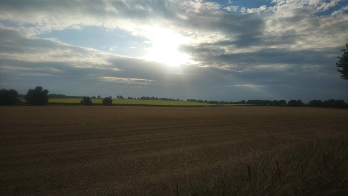 RachelBuk's tweet photo. The gorgeous countryside around Reedham on my bike ride yesterday. 😊 #reedham #norfolkcountryside #eveningcycle https://t.co/wBBGR7y7qG