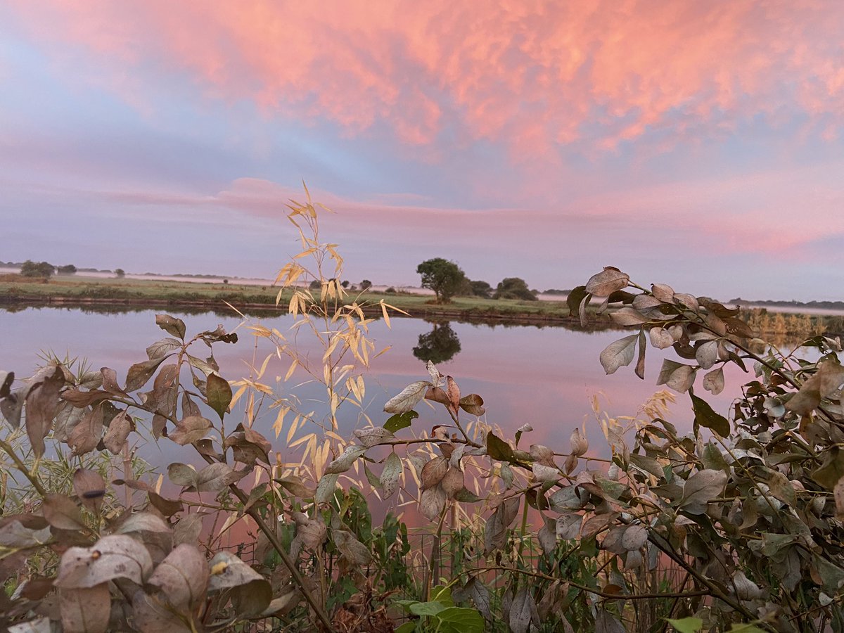 pascalmabit's tweet photo. Toujours aussi magnifique la brière, ouverture aux canards @ChasseursFrance @otreca https://t.co/pqI7vMdA92