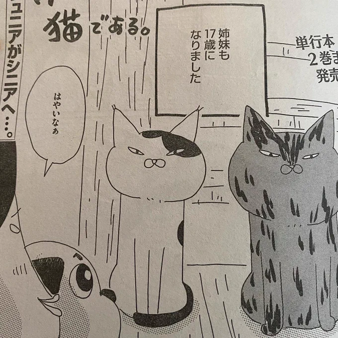 主任がゆく!スペシャル、発売しております。
今回はシニアチームのお話。よろしくお願いいたします! 