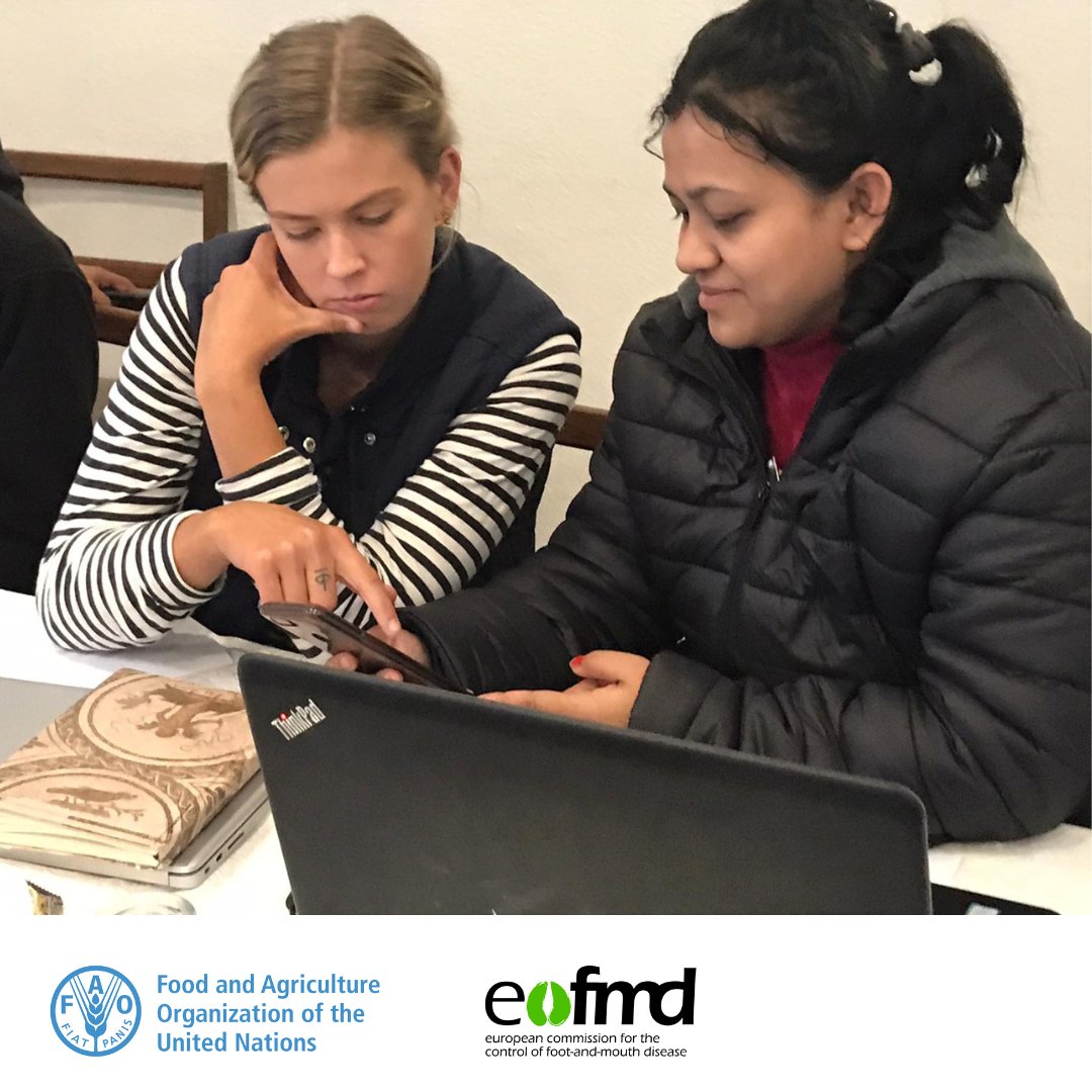 Eufmd's tweet photo. The EuFMD and the Australian Government Department of Agriculture, Fisheries, and Forestry collaborated to develop capacity for #FMD emergency response through #RealTimeTraining courses.

The network of Real-Time Trainees will meet this week to discuss follow-up activities. https://t.co/UtJ3m4jJLk