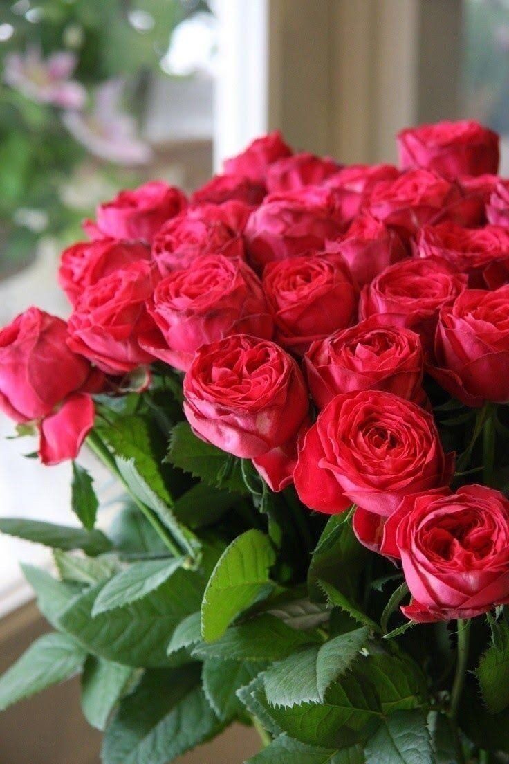 mdbwsb1's tweet photo. @ala_hemdan https://t.co/KuCnQeTkAv
