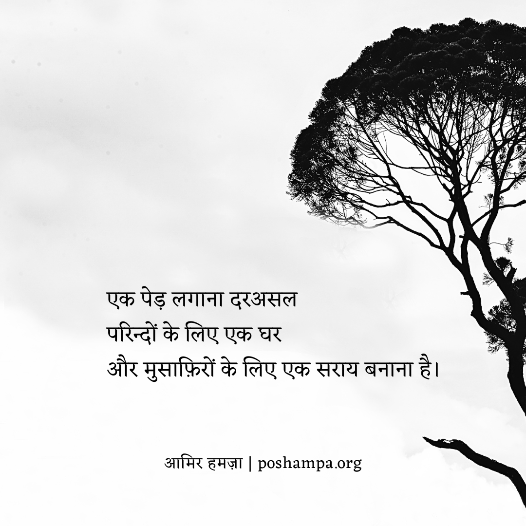 "एक पेड़ लगाना दरअसल
परिन्दों के लिए एक घर
और मुसाफ़िरों के लिए एक सराय बनाना है।"

— आमिर हमज़ा
