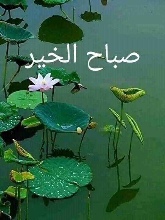 Samer ‏سامر tweet media