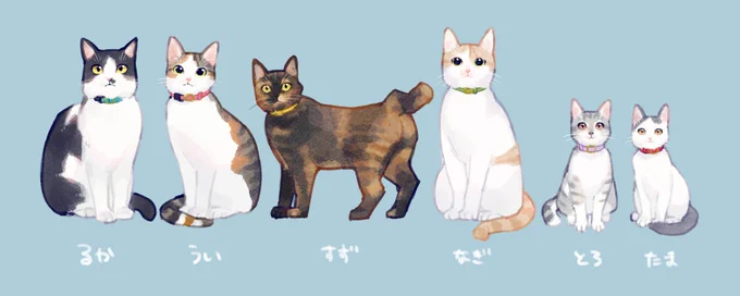 My beloved cats 