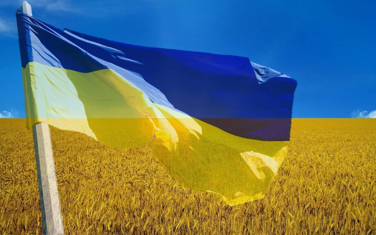 #StandWithUkraine 
#FlagDay
