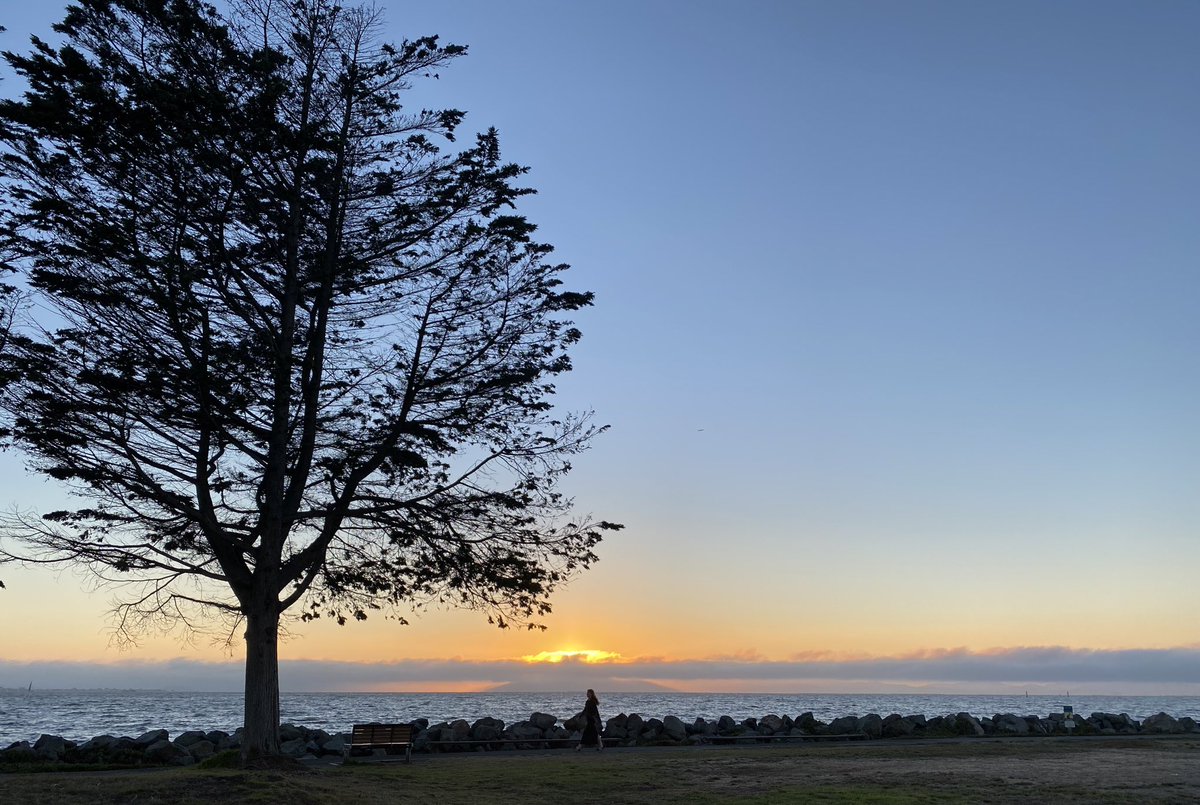KavyaPearlman's tweet photo. An absolutely perfect day at the #SFEastBay 🙌
Especially the temperature for an evening walk outside with Mr. Data 🦜😍 #FeelingBlessed https://t.co/iW5Pqx872M