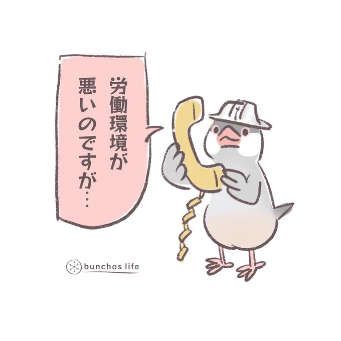可愛いを仕事としている文鳥に職場の監督不行き届きを報告されるかいぬし 