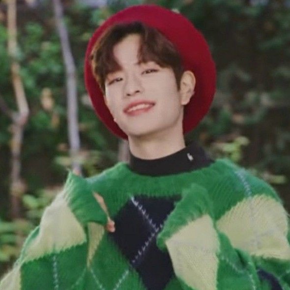 cozyseungmin's tweet photo. 🌿🍄 https://t.co/eMLR7sPgC0