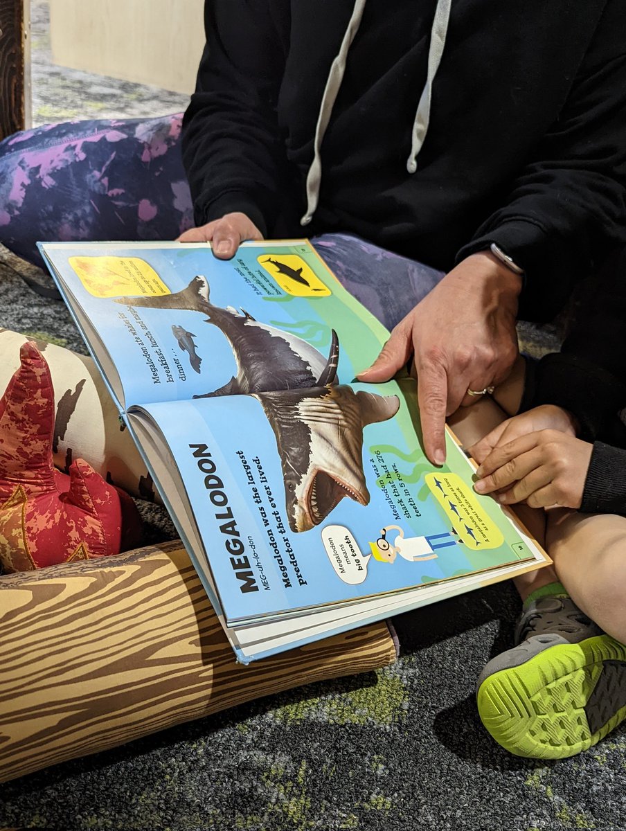 Kstevenson88's tweet photo. Visited @ilovemyanythink and found a great shark book. Got to this page and blurted out the shark's name using the @jasonmoore "Megalabowwwl" voice and instantly realized no one knew what I was doing. Still worth it! Can't wait to see @andyholloway 's book on the shelves someday! https://t.co/2Xv5wph0ER