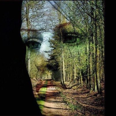 orionx10's tweet photo. En tus ojos vi dos aceitunas, en tus labios dos rosas, en tu nariz una orquídea, en tu mirada la frescura de un bosque, eres la naturaleza encarnada en una mujer hermosa...🦉 https://t.co/nntfXBaGpN