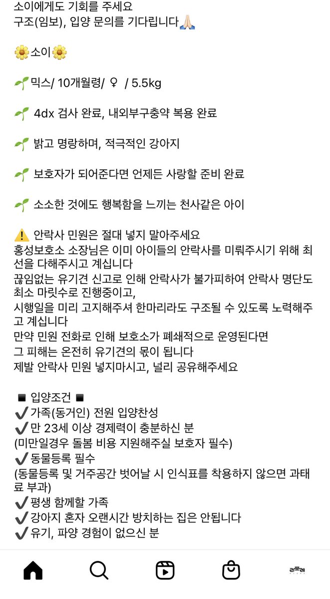 8월 26일 안락사 / 10개월 / 여아 / 5.5kg / 홍성보호소 / 5개월에 보호소 들어와 아직 한 살도 채 되지 않은 소이가 안락사 명단에 있다고 해요. 어린 강아지 답게 명랑하고 적극적인 성격, 사람도 좋아한대요. 링크 보시면 영상 많아요 👉 instagram.com/p/ChkUQnzJt4w/…