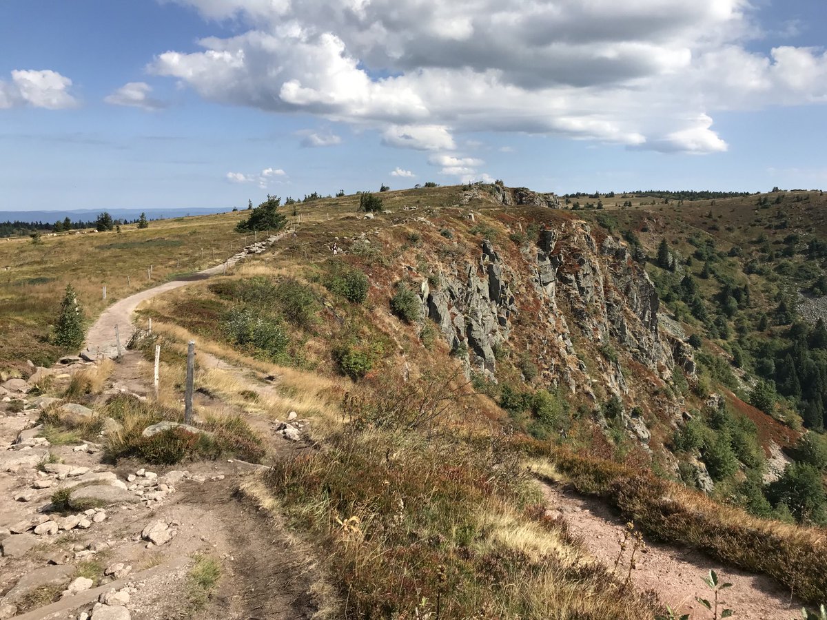 VANDEWALLEYves's tweet photo. #Vosges #Randonnée sur le #GR5 dans la #Réserve naturelle du « Gazon du #Faing ».
Les #tourbières d’altitude ne sont plus exploitées. https://t.co/Ptp5CAB12J
