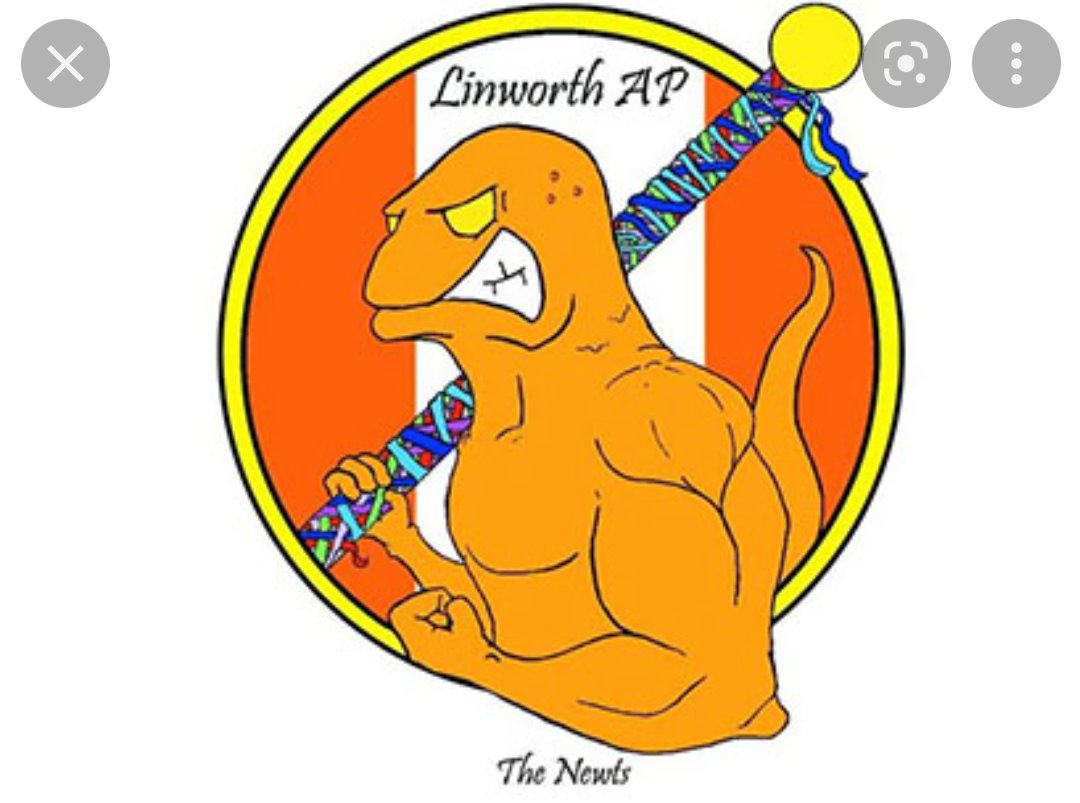 EmBrSmith6's tweet photo. @JonFromBuckland One of my children attended a high school with an anthropomorphic newt carrying a Maypole as its mascot. Naturally. https://t.co/34JDcqrcsT