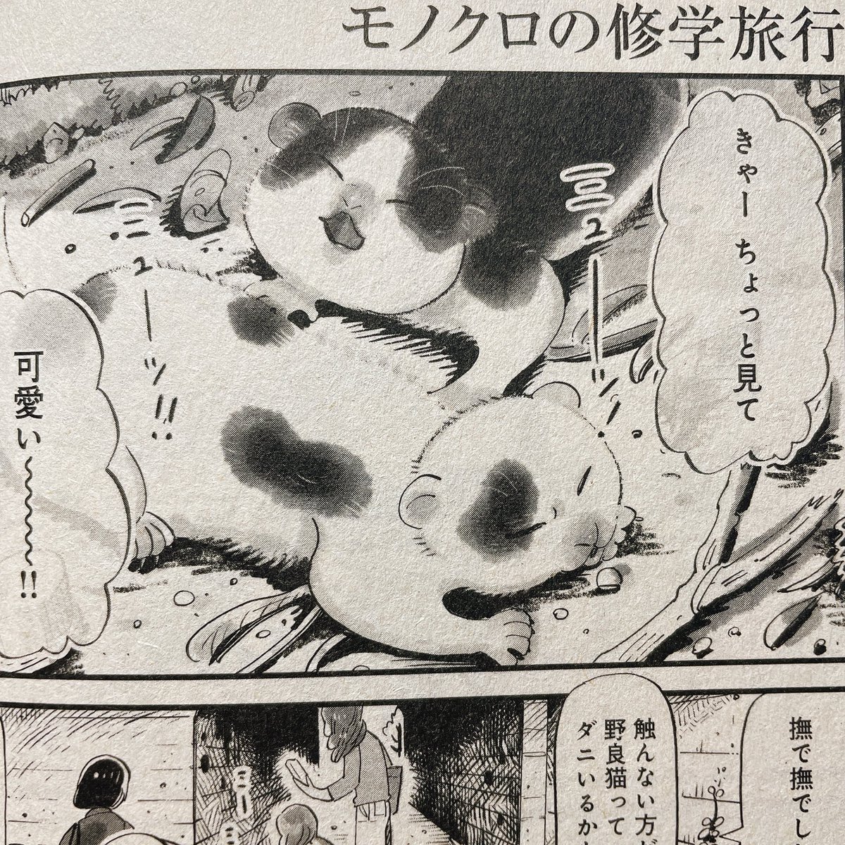この仔猫たち目が開きましたよ、という漫画描いてます。 