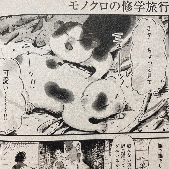 この仔猫たち目が開きましたよ、という漫画描いてます。 