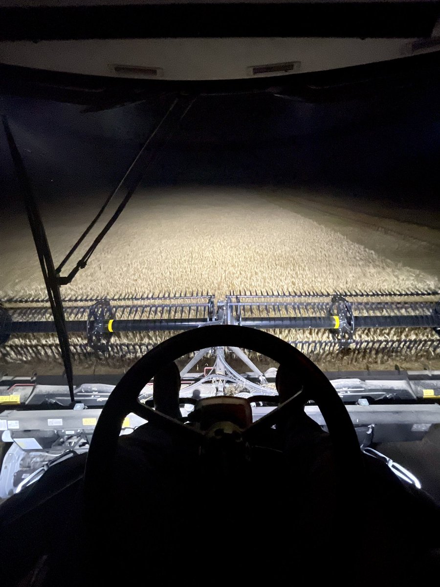 Night time views #fendt