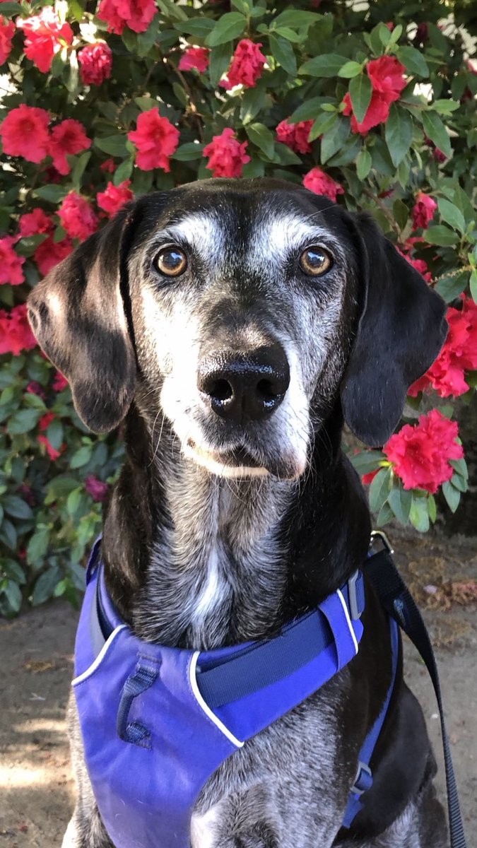 We Love you Maggie.