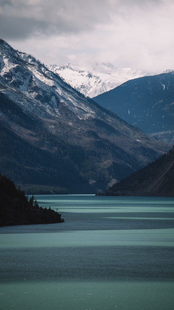 Brie Cooper tweet media