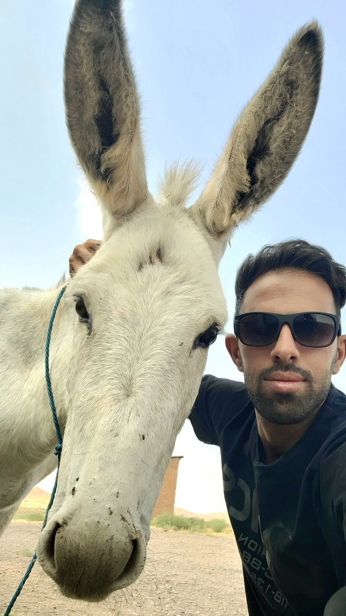 💙حسین tweet media