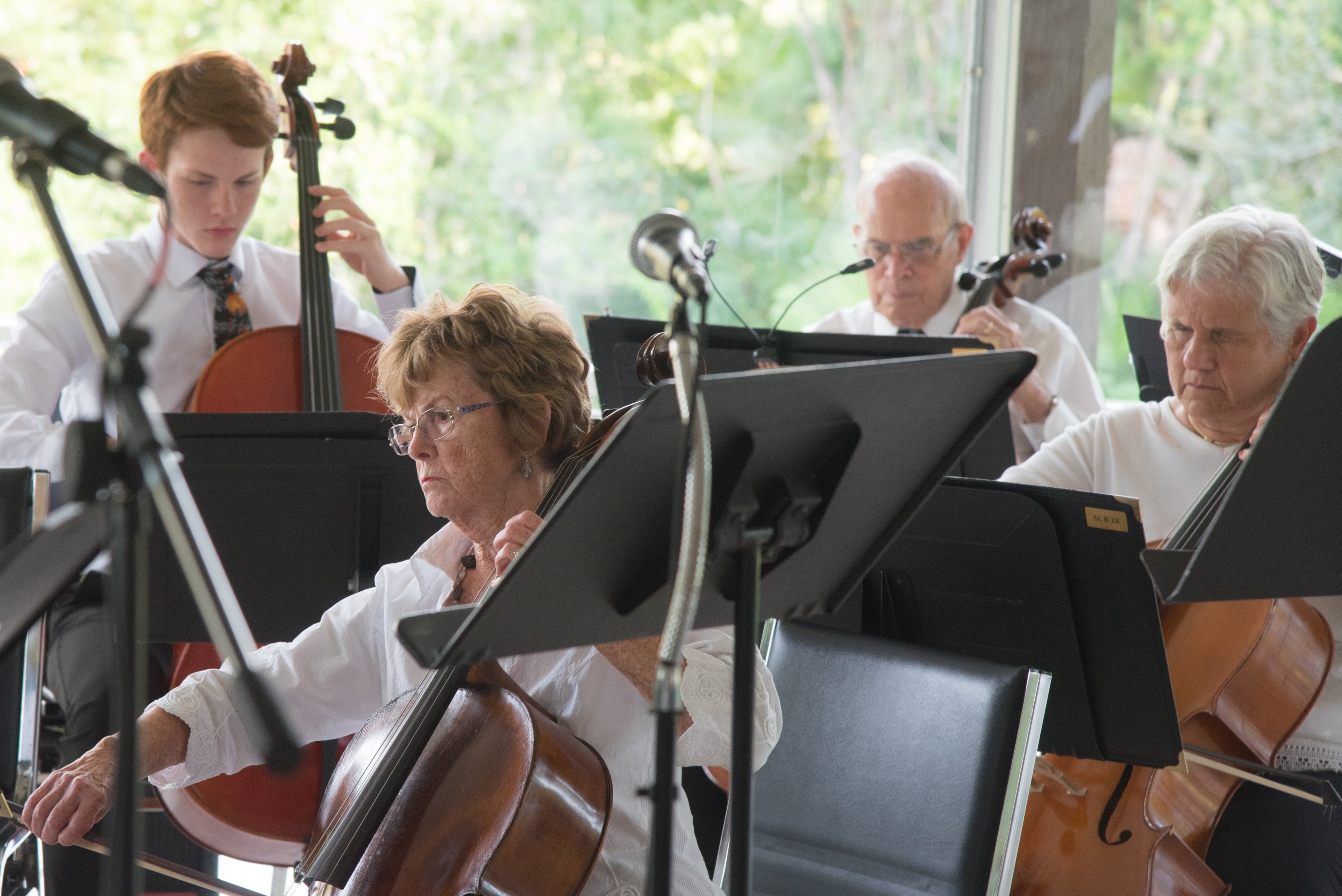 Strings Con Brio (stringsconbrio) / Twitter