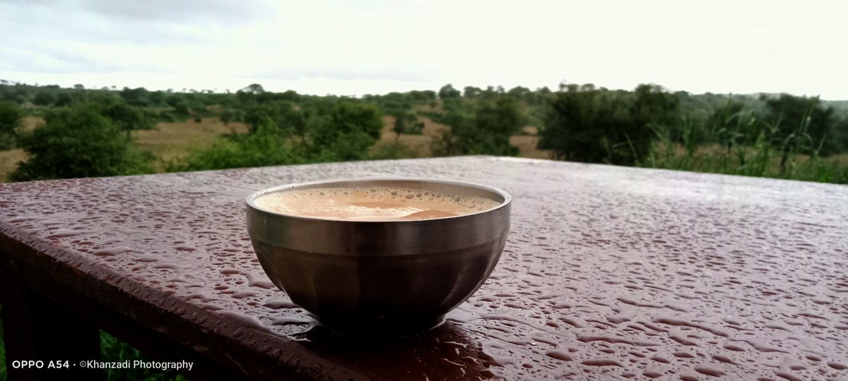 KhanzadiMurtaza's tweet photo. ڌرتي کي فطرت جي ڏنل چمي.
#CafeThar
#MithiTharParKar https://t.co/ty1NYkZjQx
