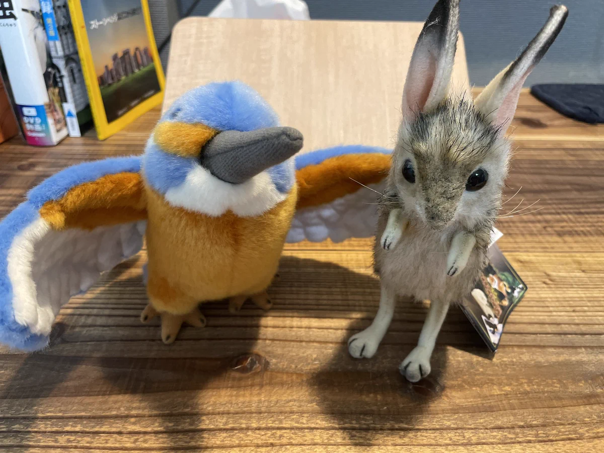 ぬまがさワタリ@特別展「鳥」大阪展（〜6/14） on X: 