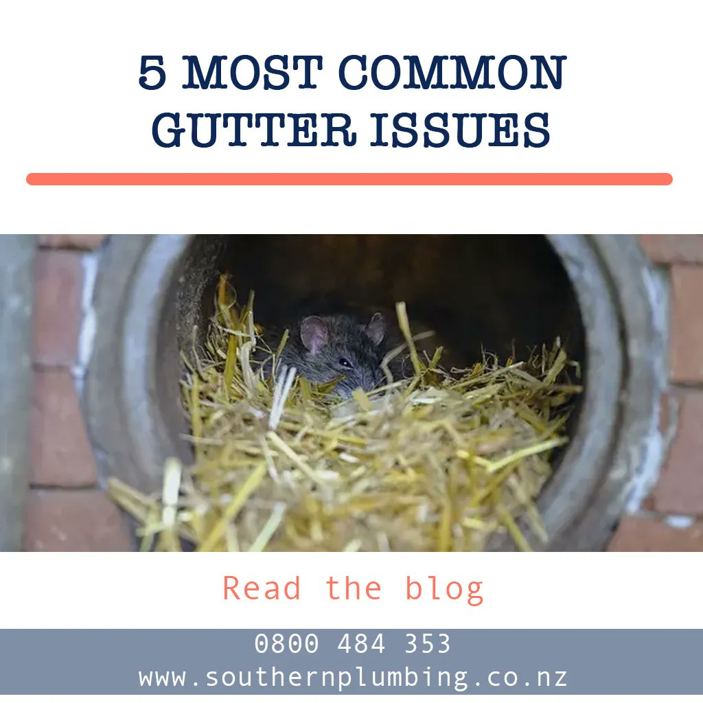 WayneAValenzue1's tweet photo. RT https://t.co/QonbZzt3jc RT https://t.co/P3I3nWsTmj 5 Most Common Gutter Issues - Read our blog on https://t.co/nFZwO2FdLZ #gutterissues #gutteringproblems #gutterWellington #Wellingto… https://t.co/7wnEE96vYJ