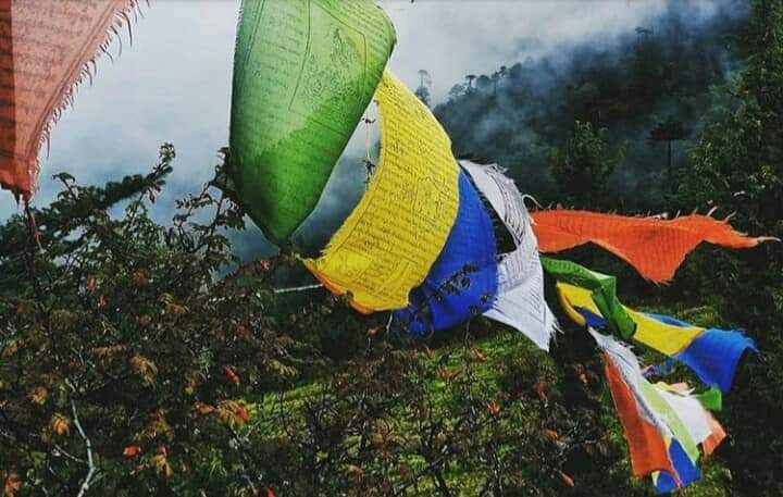 kumari_annu23's tweet photo. “Travel. As much as you can. As far as you can. As long as you can. Life’s not meant to be lived in one place.” #Travel #travelphotography #traveling #Gangtok #beautifuldestinations #indiandestination https://t.co/Yypw9ALp19