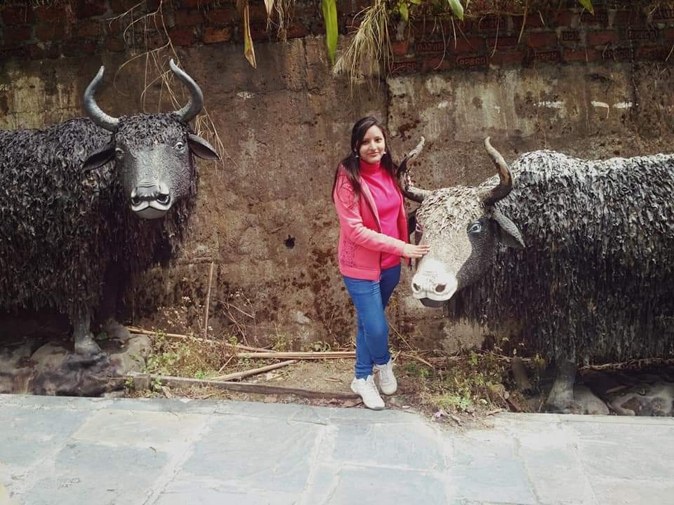 kumari_annu23's tweet photo. “Travel. As much as you can. As far as you can. As long as you can. Life’s not meant to be lived in one place.” #Travel #travelphotography #traveling #Gangtok #beautifuldestinations #indiandestination https://t.co/Yypw9ALp19