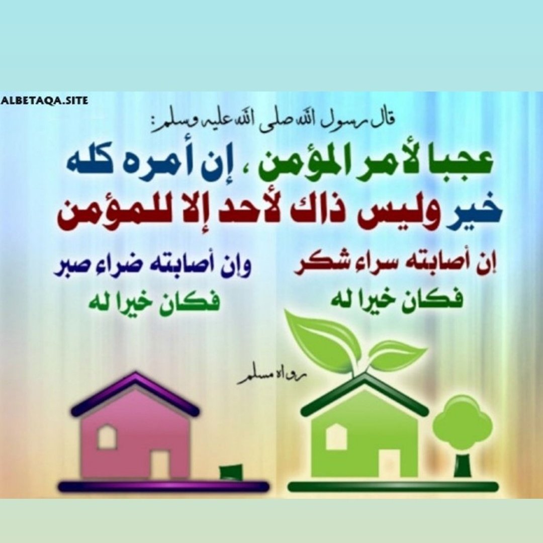 🇸🇦لا إله إلا الله محمد رسول الله🇸🇦 tweet media