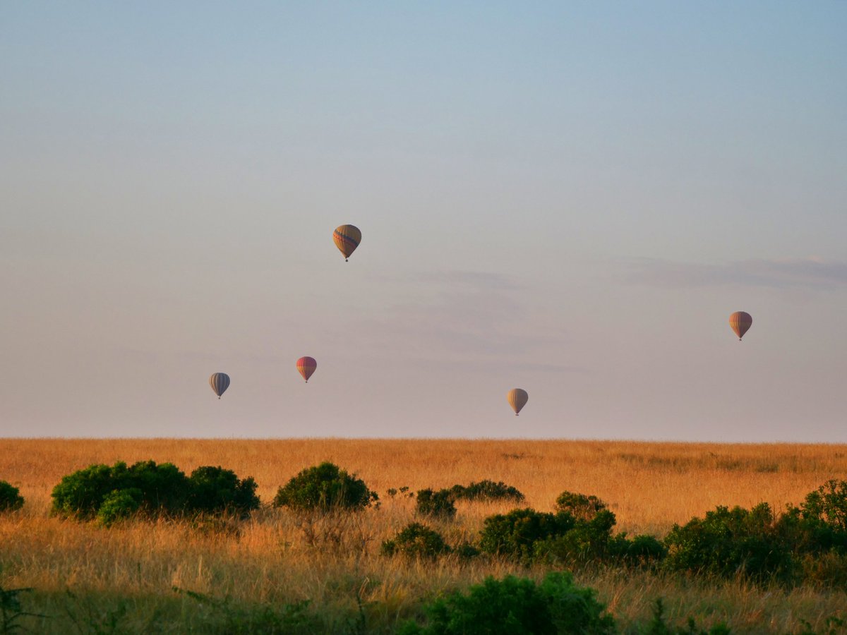 tunajibu's tweet photo. Kenya is among the top destinations in Africa. Kenya is safe for travel. Welcome to #MagicalKenya 🇰🇪 https://t.co/ePnWvmLCMz