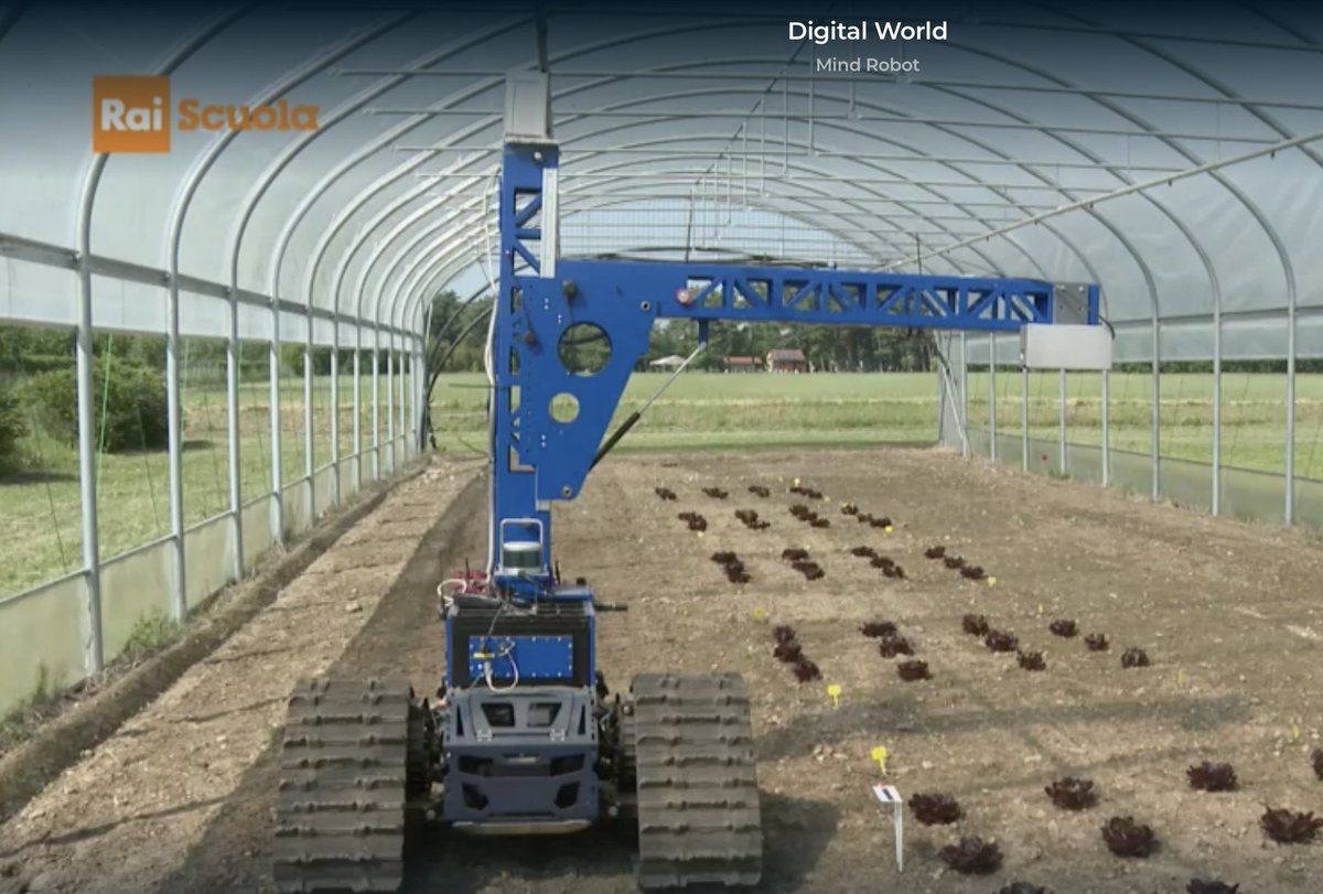 pregiuliano's tweet image. #MindRobot al servizio del lavoro dei campi, per monitorare e perfezionare la resa delle coltivazioni. Complimenti @LaStatale @disaa_press. 
Questa è l'Italia che innova e costruisce futuro. 👏👏👏t.me/innovazioneina…