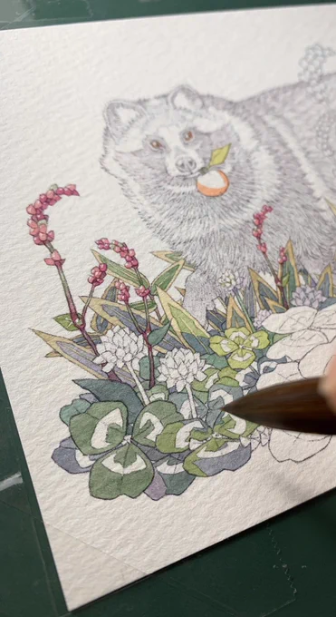 さぁ今夜もコツコツとタヌキの絵!タヌキの絵なのに未だタヌキに色が入っていません#孝夫印画No42メイキング(ご予約済み原画) 