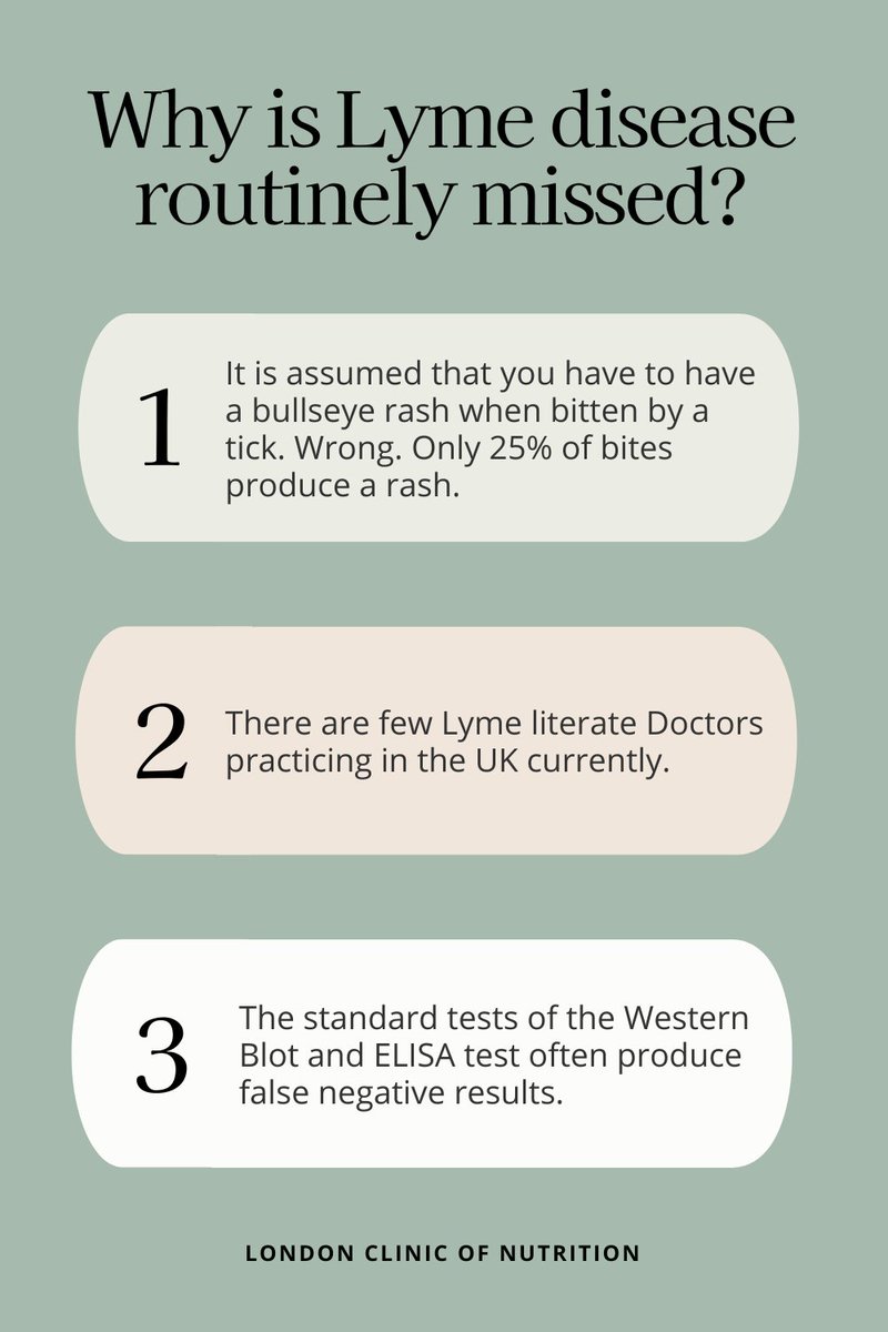 #LymeDisease symptoms mimic many different diseases, meaning GPs routinely misdiagnose.
We use #Lyme testing from specialist labs, alongside comprehensive blood chemistry and take a detailed case history to get an accurate understanding.

bit.ly/3TanemP