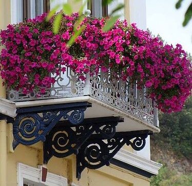 ruben_corella's tweet photo. #decoration #cityart #arteurbana #art #balcon #hometown #balcony #flowers #fleurs #nature #flowerpower #poderfloral #strrets #WalkOn #feliztarde #goodafternoon #GoodEvening #arte https://t.co/JKdWI7G4lo