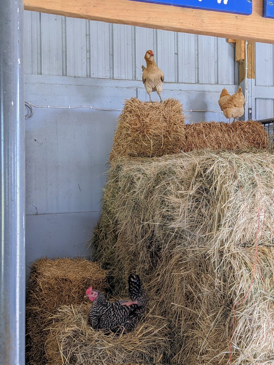 DocBohn's tweet image. Good morning