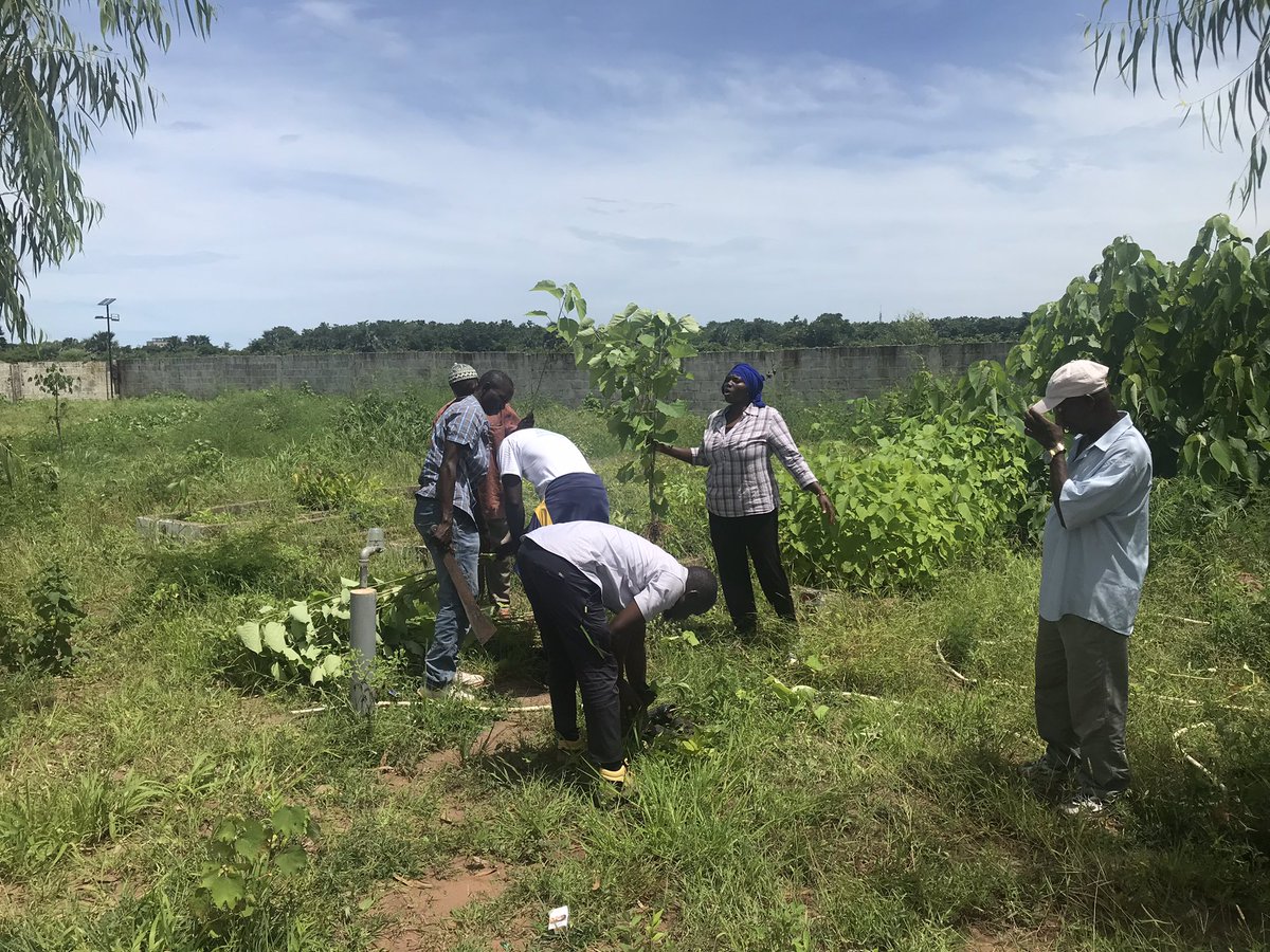ceesayam's tweet photo. Alhamdulillah!
It was a great success.
#SukutaGoesGreen 4th Edition
#Tree Planting Exercise @ Sukuta Salaji Forest Park.
#ClimateAction https://t.co/V9ocjYEm2o
