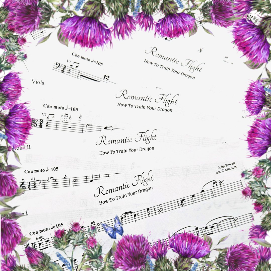 Saturday's wedding was a truly special one - our Violinist, Aimée tied the knot! I'm thrilled with this arrangement of 'Romantic Flight' which we played for her procession. 🥰
🎻🎻🎻🎻
#stringquartetleeds #stringquartetyorkshire #bespokearrangement #weddingplanning #weddingviolin
