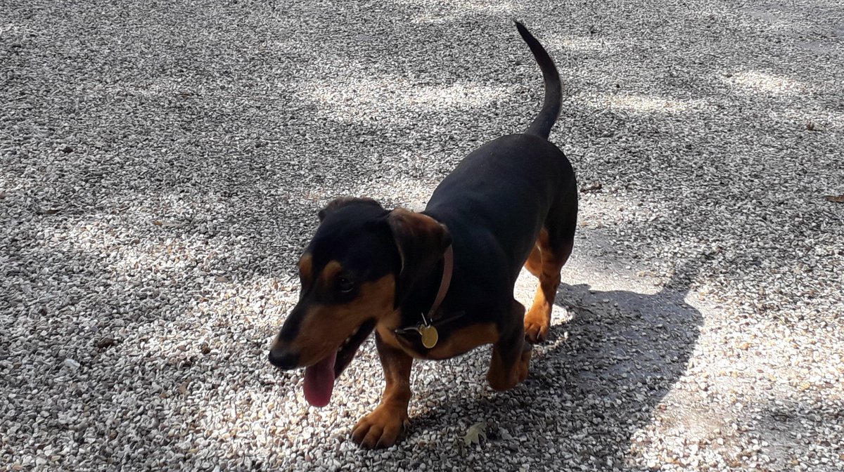 Happy #TongueOutTuesday everyone!