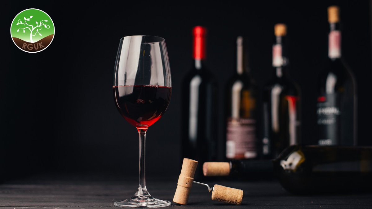 I knew I didn’t have a drinking problem – but I had a problem with drinking.

Many of us don’t question daily alcohol use until we hit rock bottom.

I didn’t want this damaging habit, so I got ‘sober curious’.

Read Emma's story here: tinyurl.com/27jz5ws5

#addiction #rguk