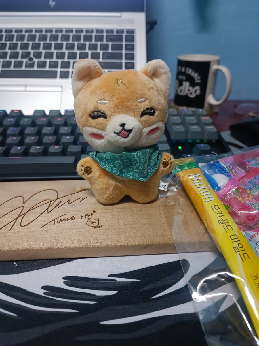 minatenzaki's tweet photo. Got my shaba inu🥰 Thank you @VinylRacksPH! #VRPHFeedbacks https://t.co/SjjJV6oCDH