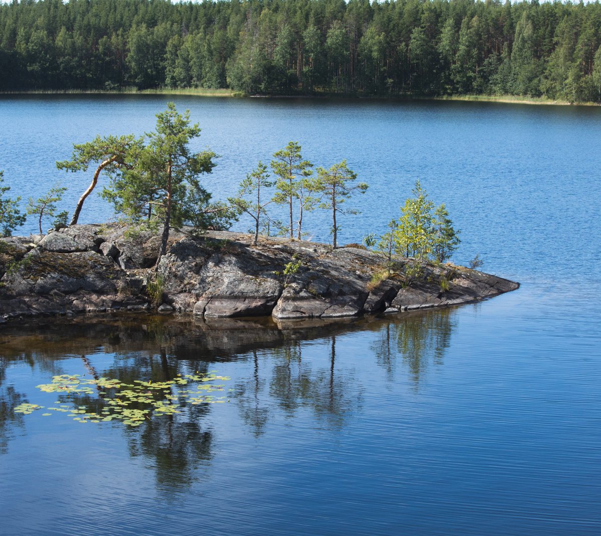 Saimaa UNESCO Global Geopark tweet media