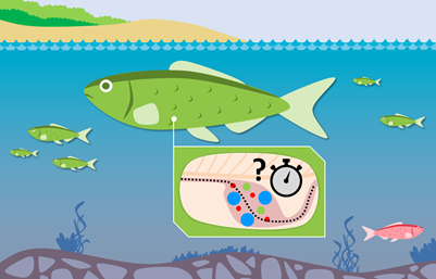 FFS_BW's tweet photo. Herr Dr. Samuel Roch (#FFS), gewinnt den Förderpreis des #VDFF für seine Dissertation zum Thema #Mikroplastik in heimischen #Fischen. Seine Ergebnisse hat er heute beim deutschen #Fischereitag vorgestellt.
Mehr Infos unter:
https://t.co/MygWB6MUqm https://t.co/QBRoSUVchM