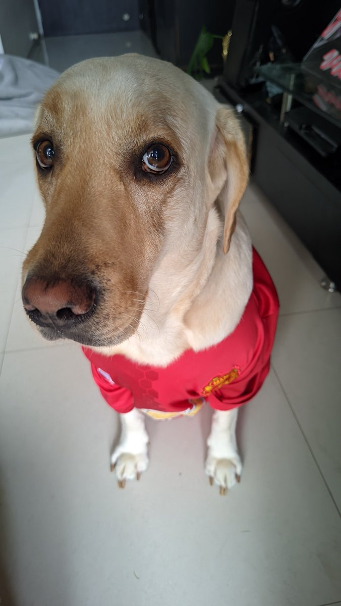 nikdhayatkar's tweet photo. ‘Woke up this morning feeling fine’ 🎵 @ManUtd #mufcfanpics #MUFC #MUNLIV https://t.co/S0mjtS00E0