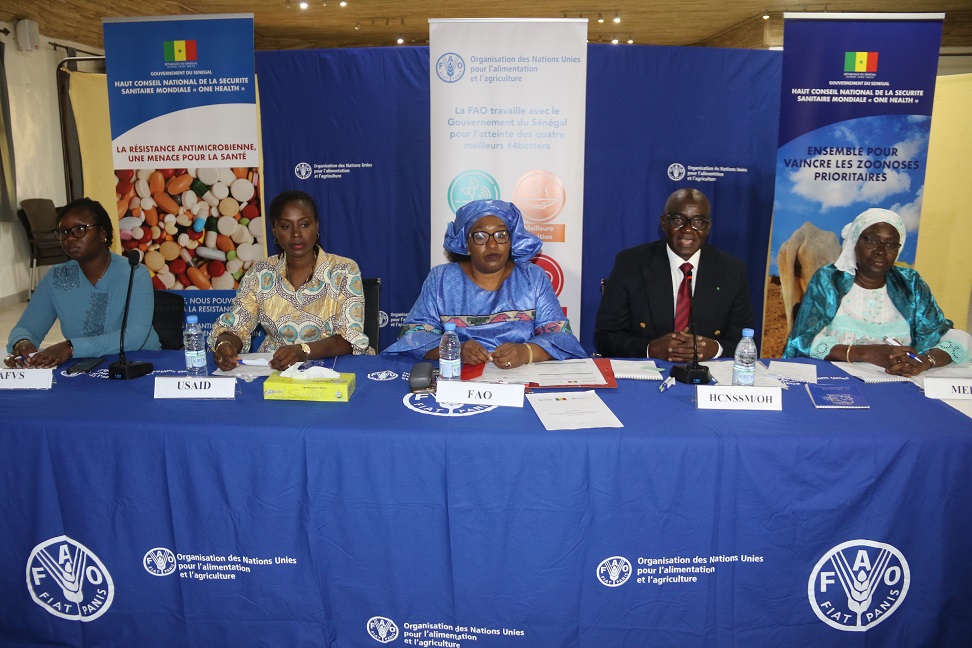 FAOSenegal's tweet photo. #HappeningNow

💊Atelier de formation des femmes-vétérinaires sur la biosécurité, biosûreté &amp; résistance aux antimicrobiens

🧑🏿‍🔬La @FAOSenegal intervient à travers son Centre d'urgence pour la lutte contre les maladies animales transfrontières #FAOECTAD

#UneSeuleSanté #OneHealth https://t.co/bPgvJUiDG0